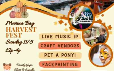 Join us on the boardwalk for Harvest Fest Sunday, November 5th from 12p-4p! Bring the family down, grab some lunch or a drink, shop local, gift card deals, face painting for the kids, participate in a family yoga class. Oh, and live music! We have plenty of options to keep the kids entertained for a few hours! For details, link in bio, or: https://mbbaquincy.com/marina-bay-quincy-events/ Co-Hosted by: Break Rock Brewing, Capella Yoga, Denise Hajjar Boutique, Victory Point, White Pine Markets, and the Marina Bay Business Association.