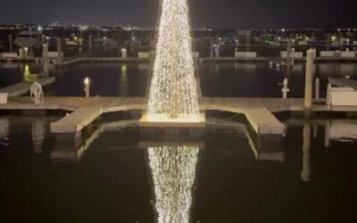 Marina Bay wearing its holiday best! Fun fact: did you know that the businesses and restaurants do stay open year round and don’t just close for the year on Sept 1? Head down to the boardwalk to take a holiday stroll and support small business! They need your help during the off season! #marinabay #quincy #hiddengem #waterfront #holidays #mbba #neponset #holidaylights #lightitup #shoplocal