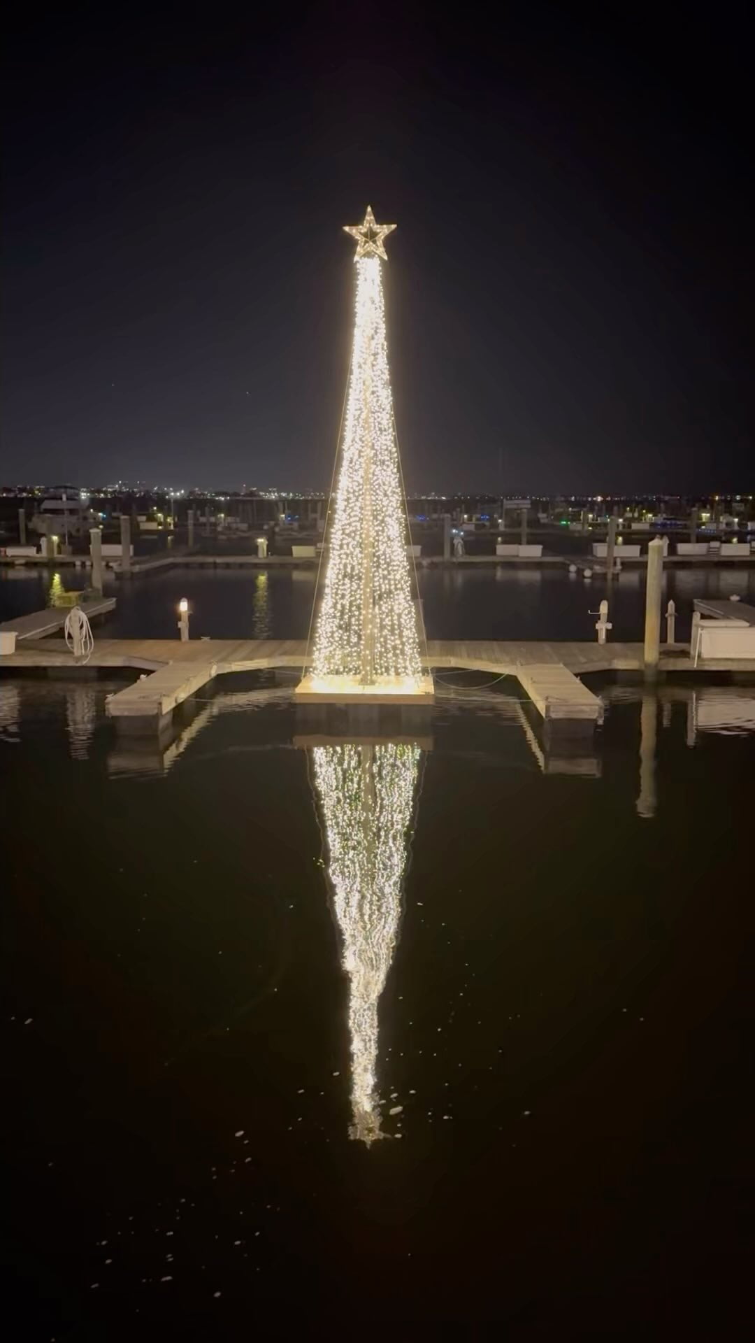 Marina Bay wearing its holiday best! Fun fact: did you know that the businesses and restaurants do stay open year round and don’t just close for the year on Sept 1?Head down to the boardwalk to take a holiday stroll and support small business! They need your help during the off season!